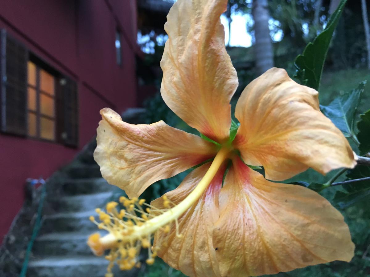 Pousada Casa De Maua Visconde de Mauá Eksteriør bilde